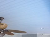 Maintenance Free Lanai Ceiling